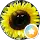 Christopher Durant profile picture
